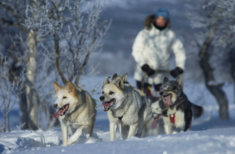 Destination Røros