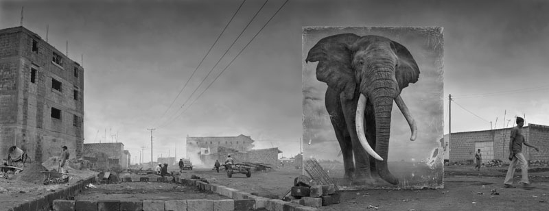 Road With Elephant