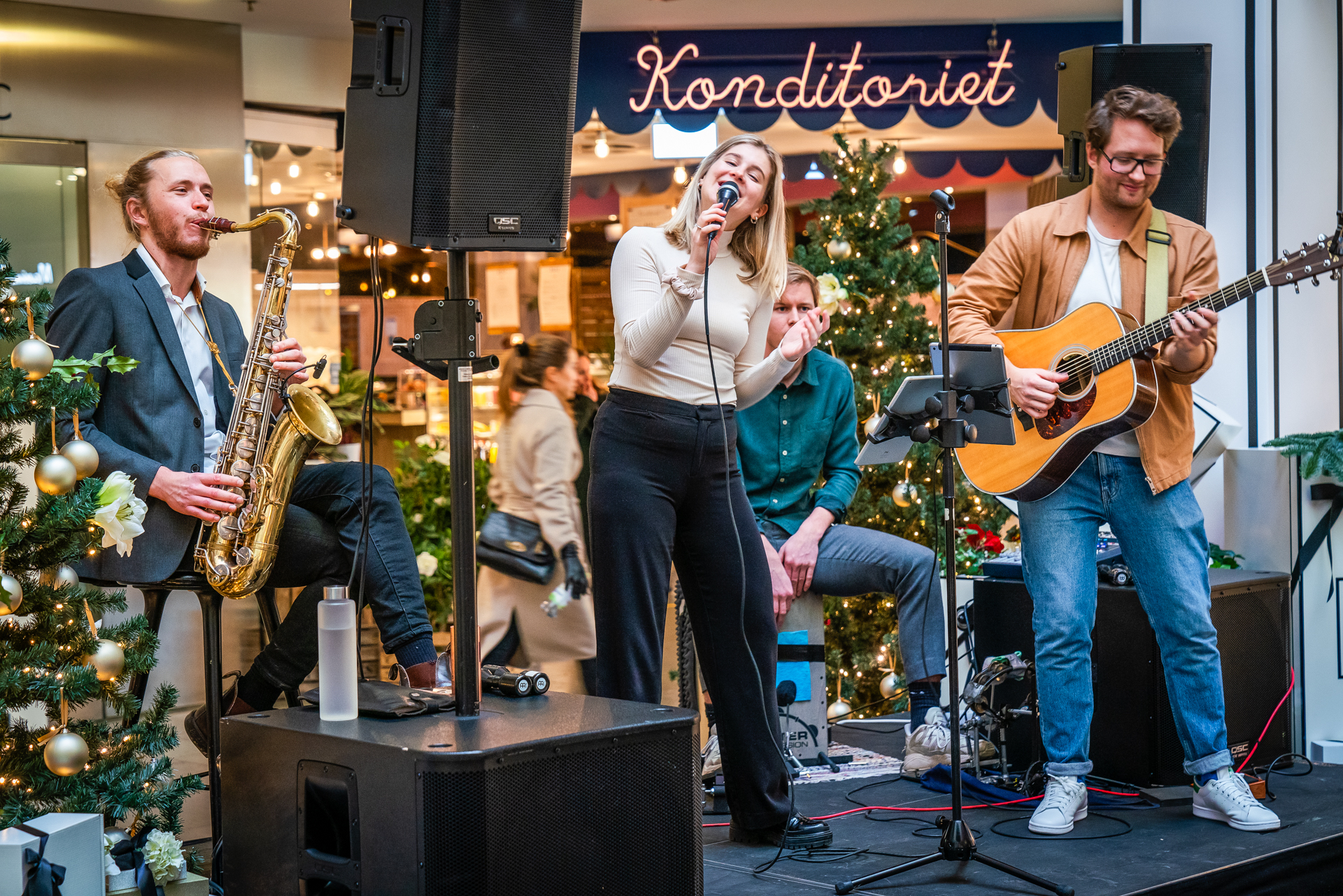 Scandinavian Entertainment Group